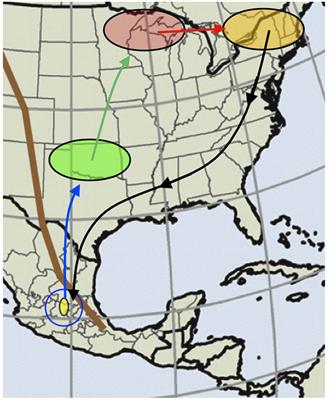 The Monarch Butterfly as a Model for Understanding the Role of Environmental Sensory Cues in Long-Distance Migratory Phenomena